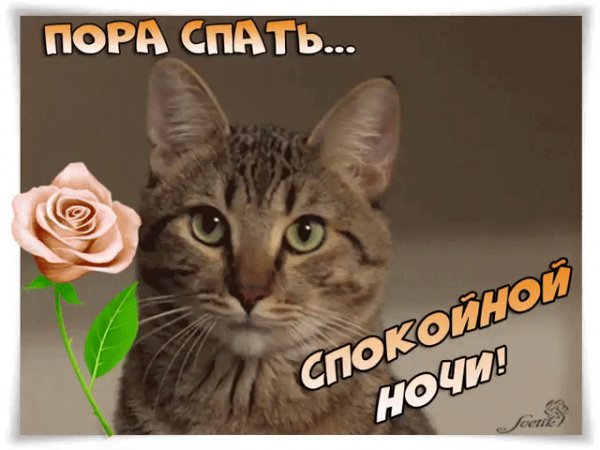 file_76237011
