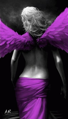 17-07-03-7e9909e5365bd55c5f8529e21fba188b