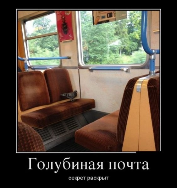 Голубиная почта