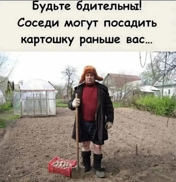 FB IMG 1777393057391