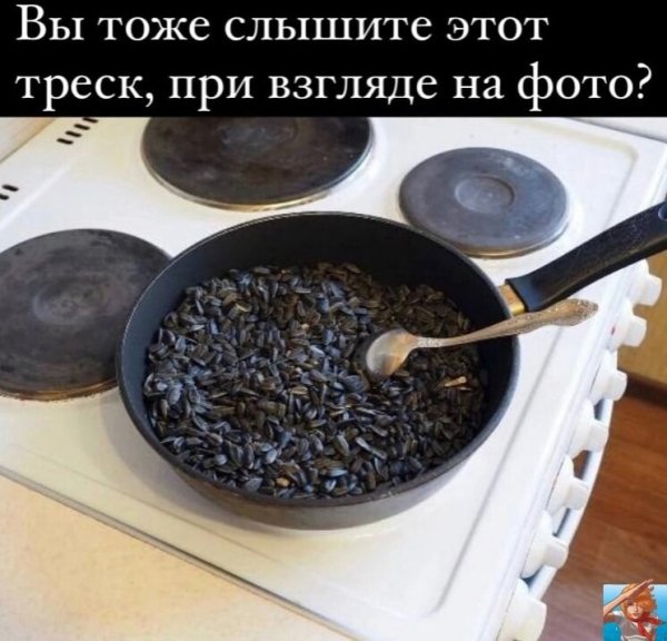 IMG 20231206 004228