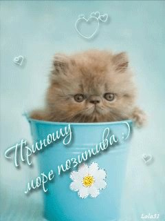 приношу море позитива