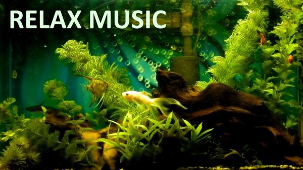 Relax music - Без названия