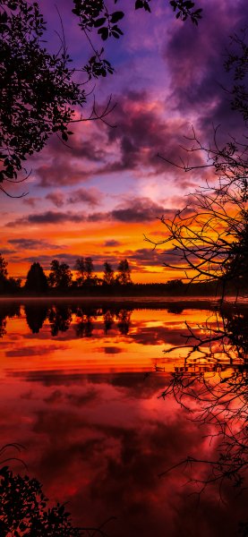file_94675954