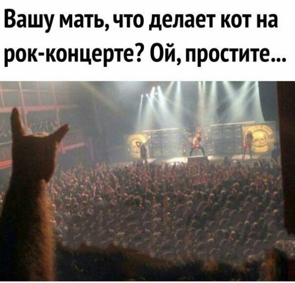 file_99490924