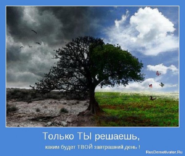 Ты только решаешь...