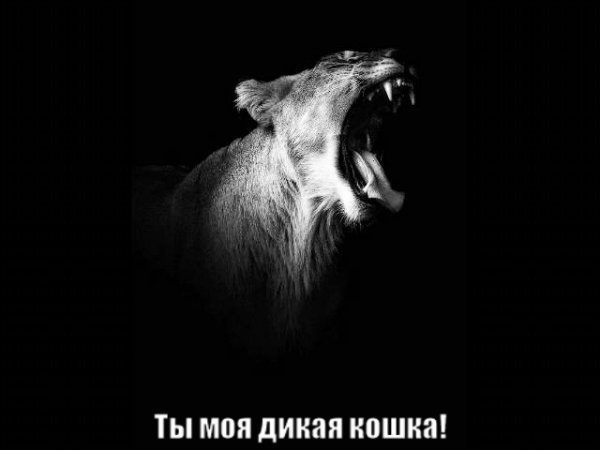 GIF-210903 000609