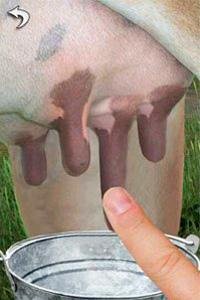 Подои корову