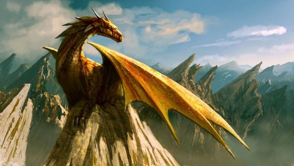 Dragon7