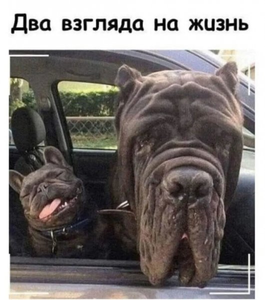 FB IMG 1777225924038