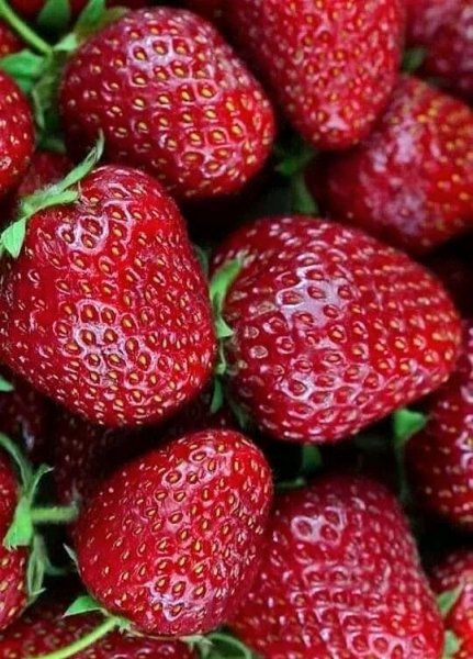 file_102347565