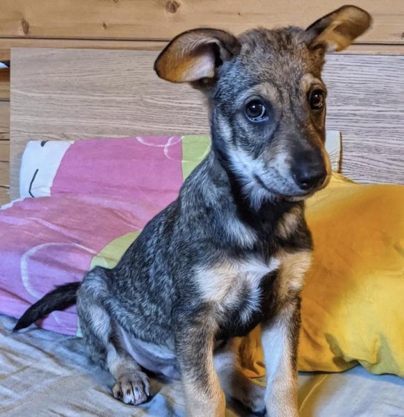 DSFHJGZVNVXGHJCVRUJA6