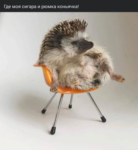 Где моя