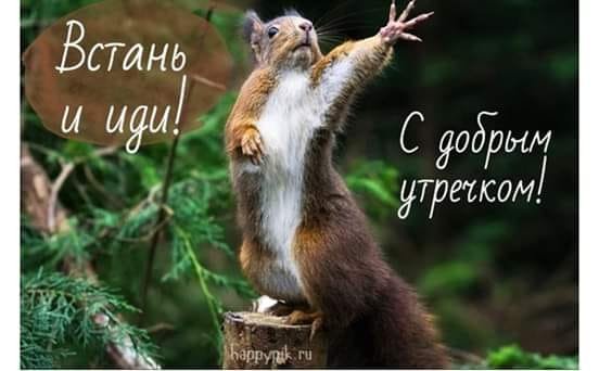 С добрым утром