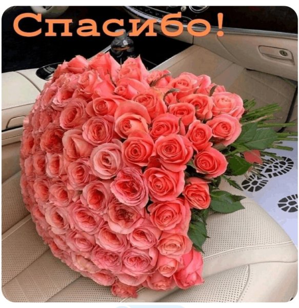 file_100404882