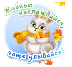 улыбайся 000310