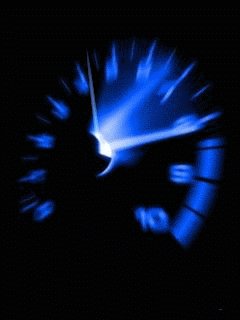 IMAGES243 (18)