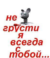file_2838884