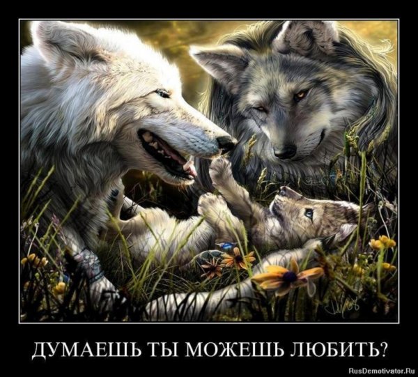 Ты можешь любить