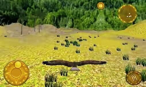 wild eagle survival hunt v1.0.