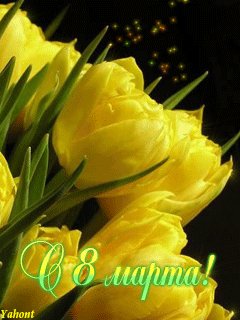 file_14256260