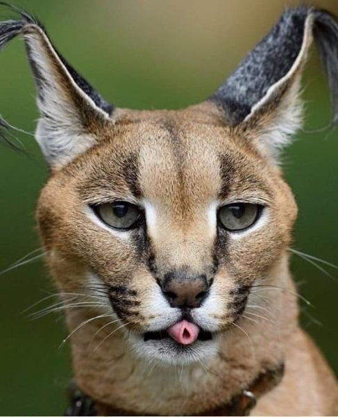 FB IMG 1569505674049