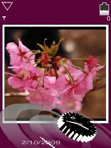 Sakura