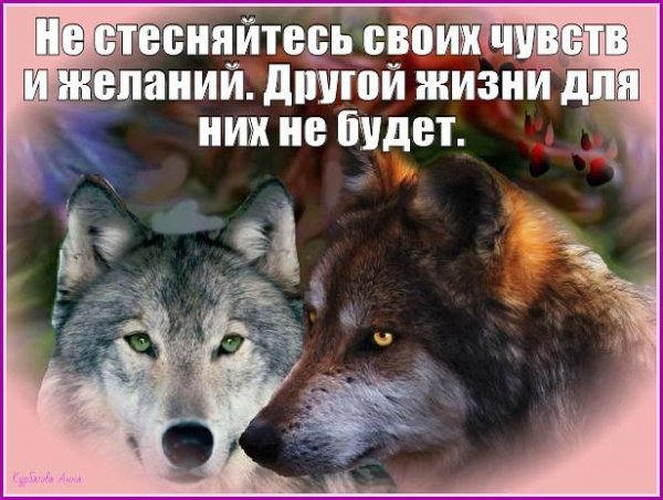 Другой жизни нет
