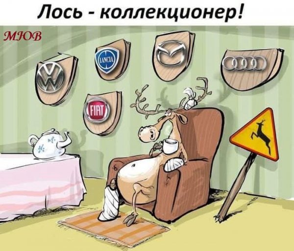 FB IMG 1775992372536