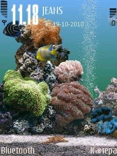 aquarium