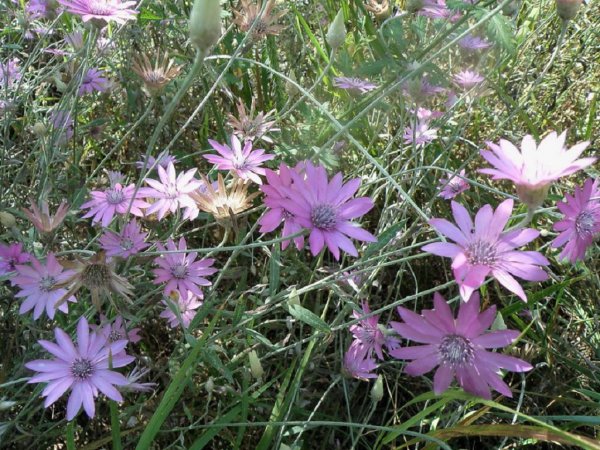 43f9183213f4108a6286