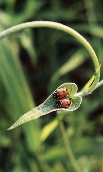 IMG-b9d850d9232580879bf85d611a3527cb-V