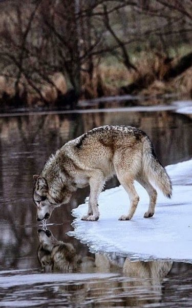 30f0e6fb10d9811305d36d859a9646ad