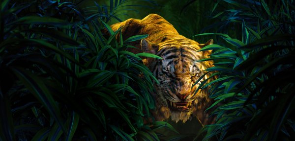 Exclusive-the-jungle-book-the-5708