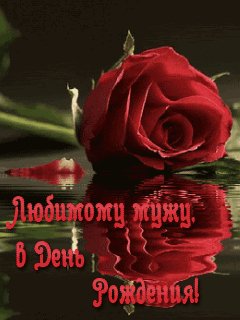 Любимому мужу в День рождения