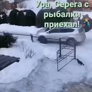 IMG 20221222 094755