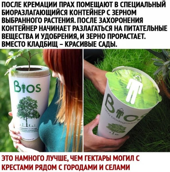 file_82034653