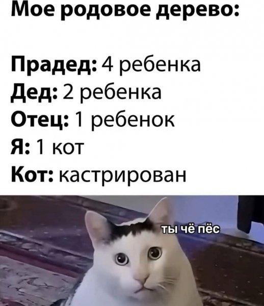 FB IMG 1778525534819