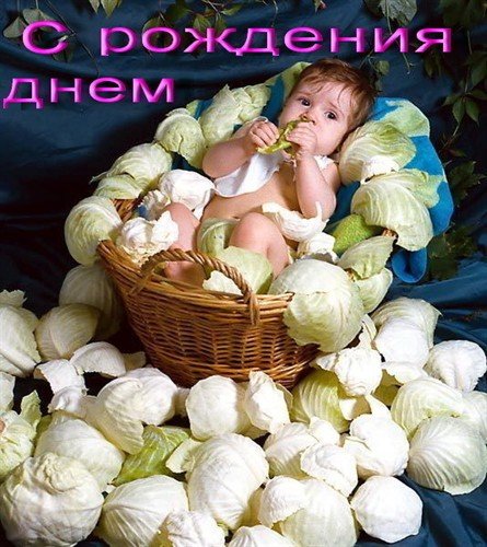 file_81228108