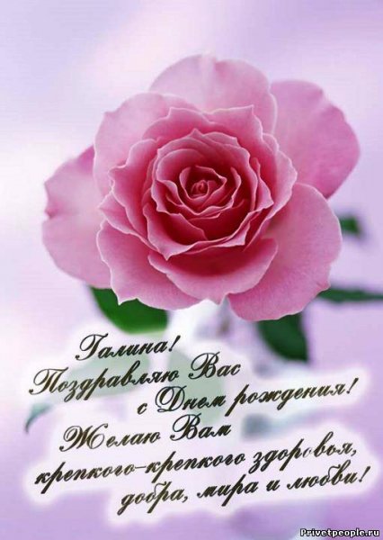 file_84784274