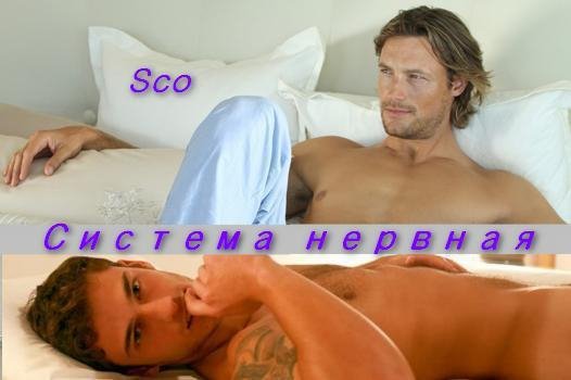 sco sistema nervnaya