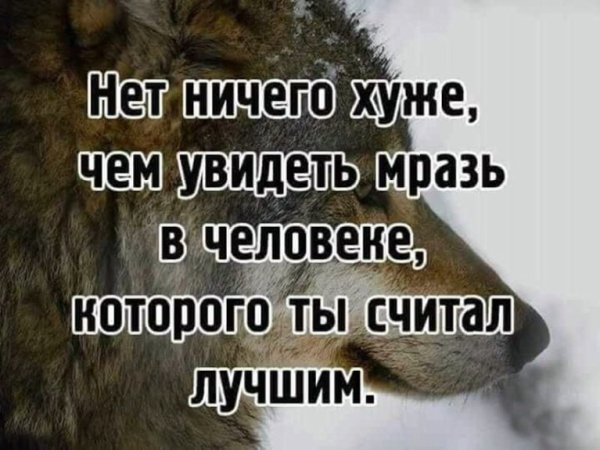 Правда жизни