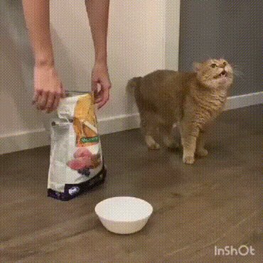 ))