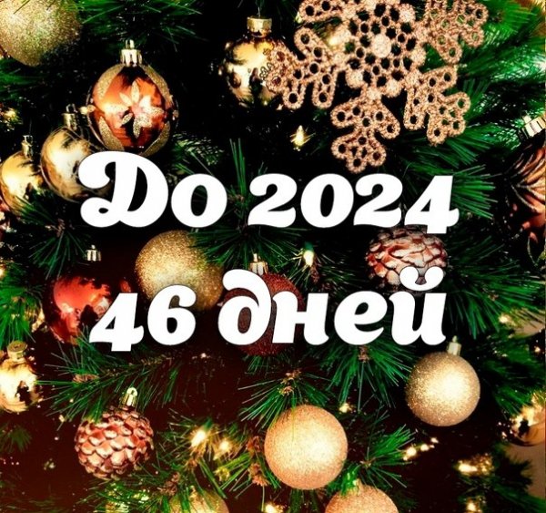 file_95068927