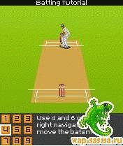 Ashes Cricket