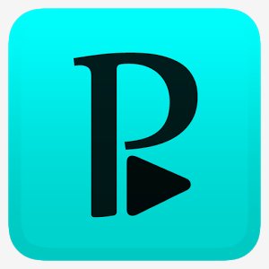 Perfect Player 1.3.5