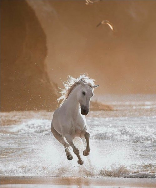 Screenshot 2021-11-01-09-25-00