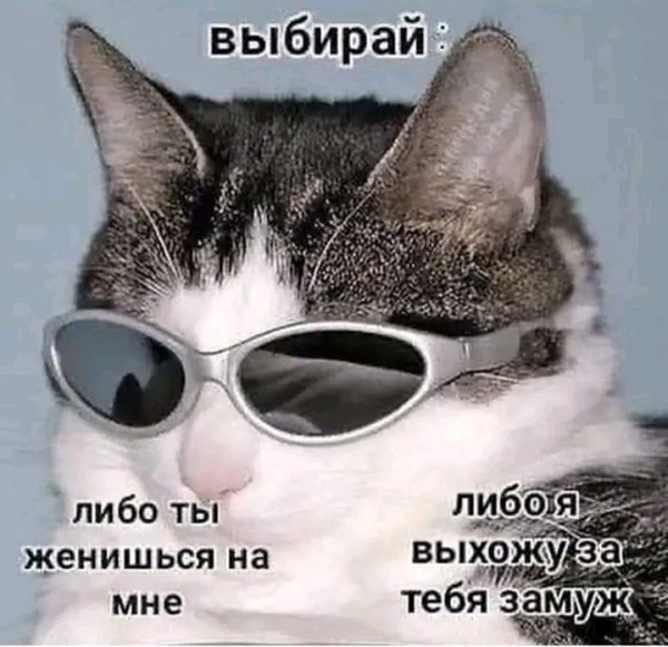 file_103330581