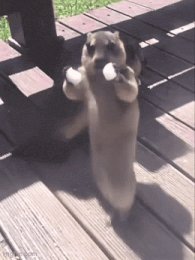 Dancing