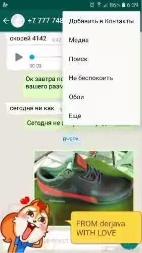 WhatsApp v2.16.228